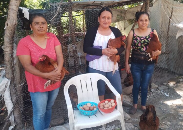 Promueve Bienestar ahorro familiar con producción avícola