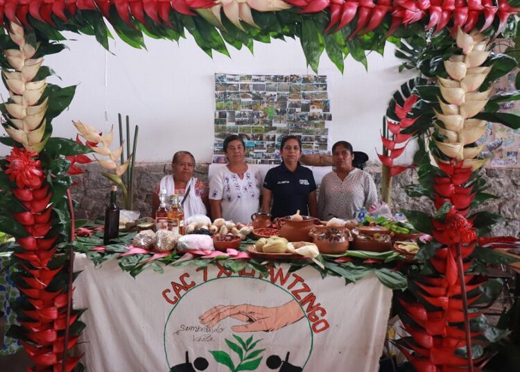 Celebrarán Expo-Foro de Sistemas Cafetaleros en Centro Expositor
