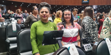 Se afianzarán programas sociales, salud, ciencia y se cerrarán brechas en favor de mujeres: PT