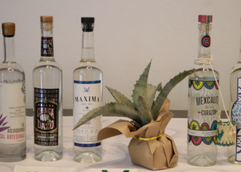Céspedes irá a Nueva York a invitar a paisanos a invertir en programa de agave mezcalero