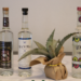 Céspedes irá a Nueva York a invitar a paisanos a invertir en programa de agave mezcalero