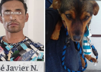 Detienen a José Javier N. agresor de perrita Enedina en Edomex