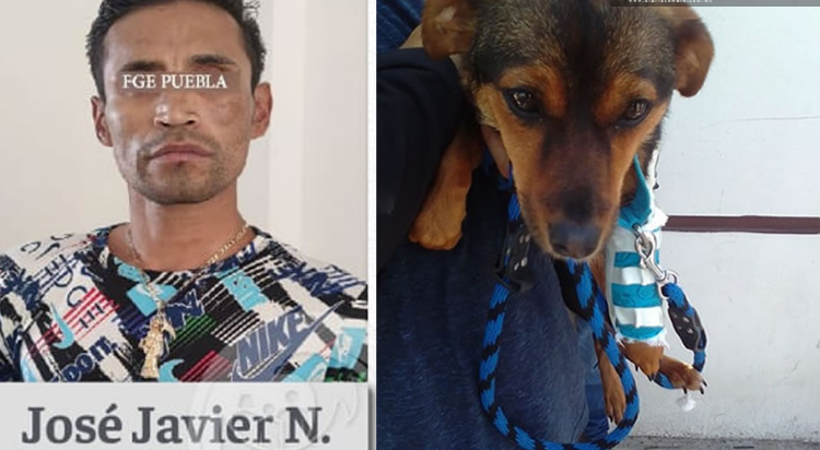 Detienen a José Javier N. agresor de perrita Enedina en Edomex