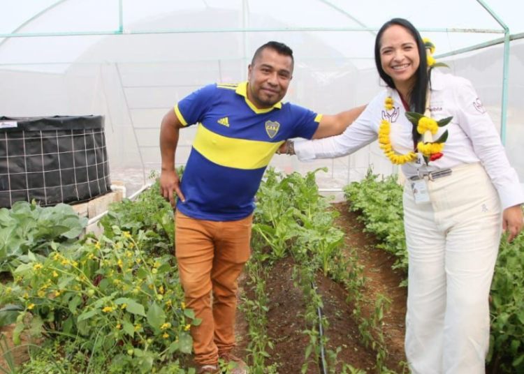 Bienestar asegura continuidad del Programa Integral Alimentario en Puebla