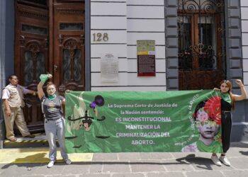 PVEM pide al Congreso iniciar discusión para despenalizar aborto