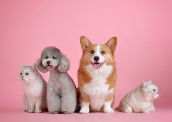 BUAP, a favor de protección y bienestar animal 