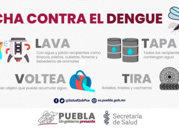 Llegan a 78 municipios los casos de dengue