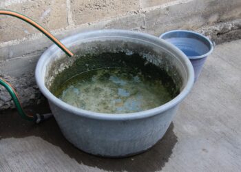 Reportan presencia de dengue en 105 municipios