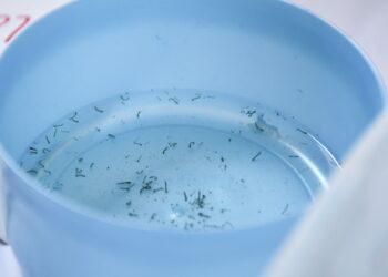 Puebla acumula 2 mil 454 casos de dengue