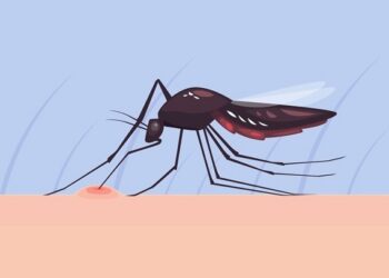 Registra Puebla 32 nuevos contagios por dengue en 24 horas
