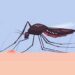 Registra Puebla 32 nuevos contagios por dengue en 24 horas