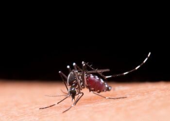 SS instala Comando de Acciones de Contención del Dengue