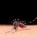 SS instala Comando de Acciones de Contención del Dengue
