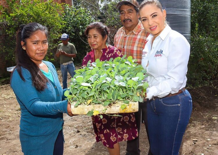 Paola Angón entrega invernaderos de traspatio