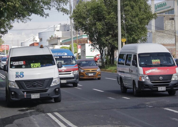 Gobierno garantiza transporte legal y seguro