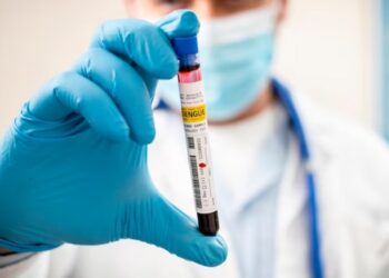 Reportan 2 hospitalizaciones por dengue
