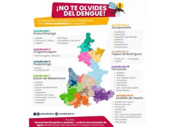 Reportan casos de dengue en 101 municipios