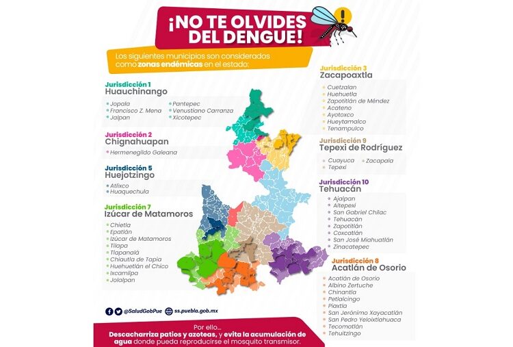 Reportan casos de dengue en 101 municipios