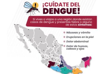 82 municipios reportan casos de dengue