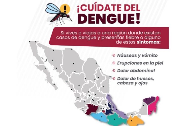 82 municipios reportan casos de dengue