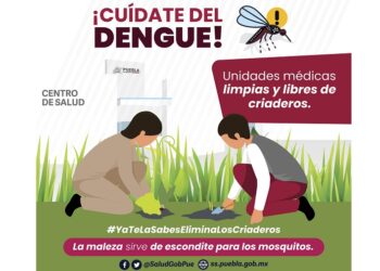 Reportan 37 contagios y una hospitalización por dengue