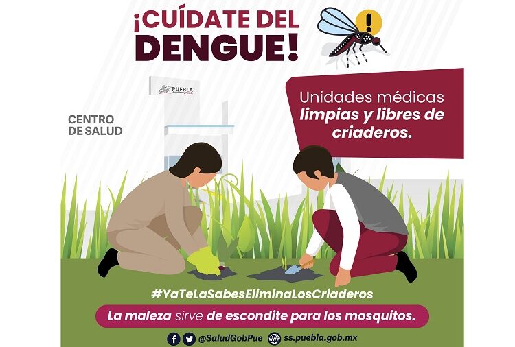 Reportan 37 contagios y una hospitalización por dengue