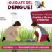 Reportan 37 contagios y una hospitalización por dengue