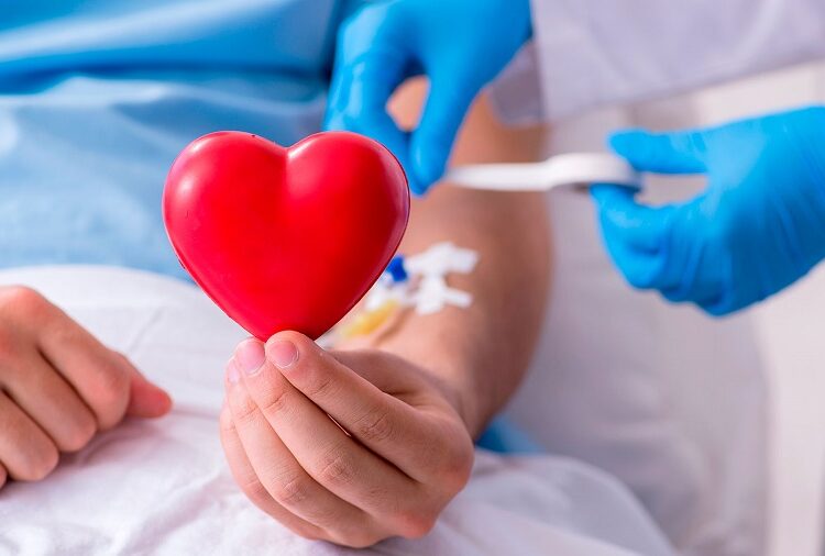 Mitos y realidades de la donación de células madre y médula ósea