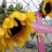 Ley Monse pondrá fin a impunidad de feminicidas