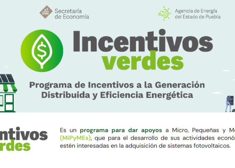 Mipymes podrán acceder al programa «Incentivos Verdes”