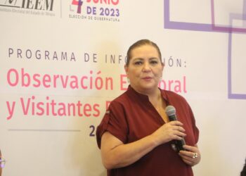 El INE no está rebasado: Guadalupe Taddei