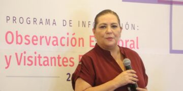 El INE no está rebasado: Guadalupe Taddei