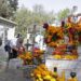 Realizan operativos contra el dengue en panteones