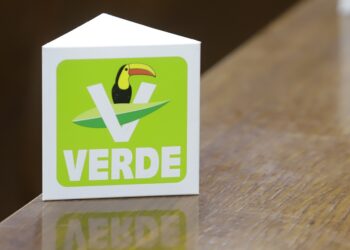 PVEM respalda acuerdo del INE sobre garantizar paridad en elección de 2024
