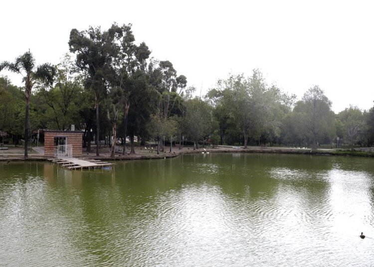 Pronto estará lista remodelación del Parque Ecológico