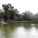 Pronto estará lista remodelación del Parque Ecológico
