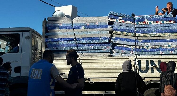29 trabajadores humanitarios de la ONU han muerto en la Franja de Gaza
