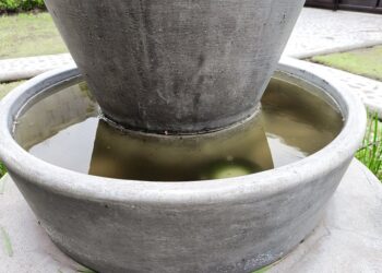 Reportan 2 mil 864 casos acumulados de dengue