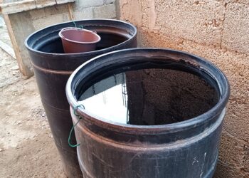 Reportan 2 mil 753 casos acumulados de dengue
