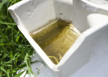 Salud reporta 30 casos de dengue en 24 horas