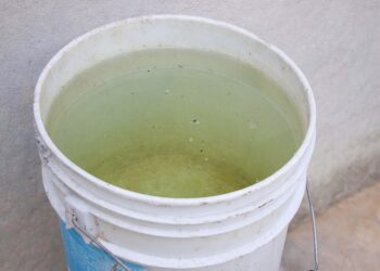 Reportan 10 personas hospitalizadas por dengue