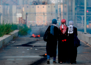 Apartheid israelí, término que define el conflicto Israel Palestina