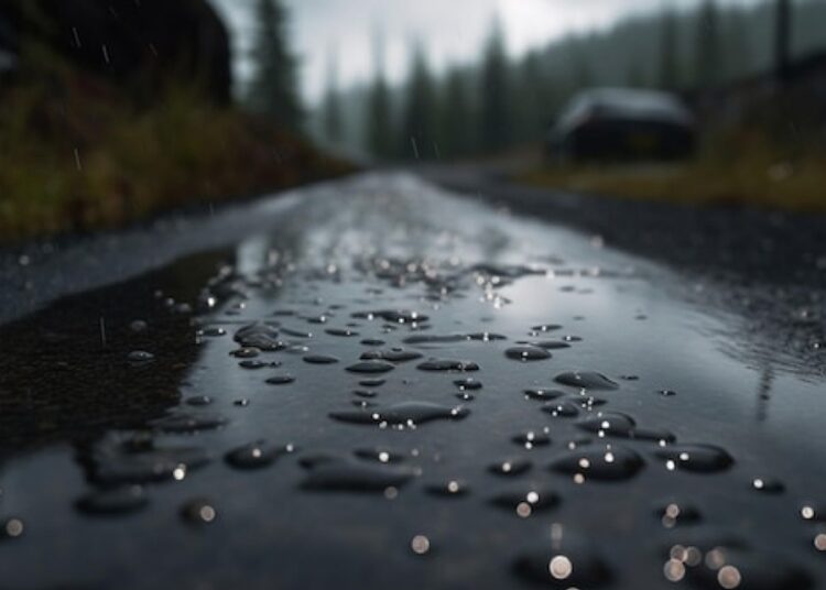 ¿Cómo se llama el olor en la tierra después de que llueve?