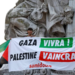 Día de Solidaridad con el Pueblo Palestino recuerda importancia de tregua entre Israel y Hamás