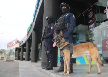 ¿Vas a recibir una cantidad fuerte por tu aguinaldo? San Andrés ofrece esta protección