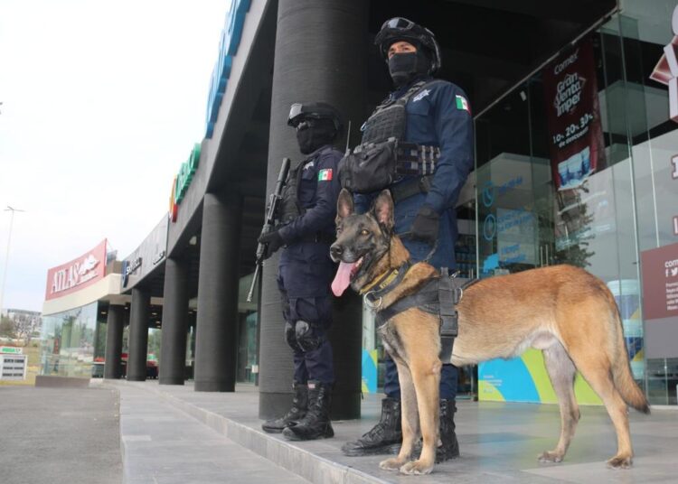 ¿Vas a recibir una cantidad fuerte por tu aguinaldo? San Andrés ofrece esta protección