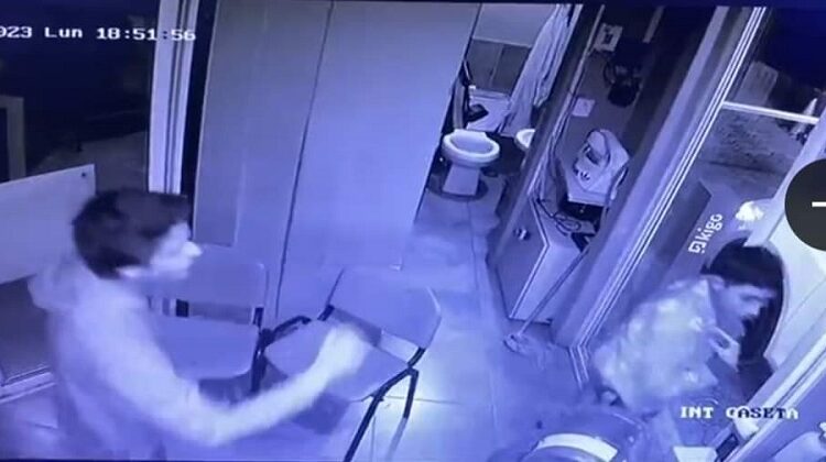 Prepa Anáhuac expulsa a alumno por violentar a guardia de seguridad