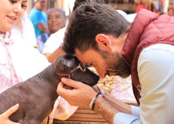La protección a la vida animal empieza por la educación: Abdala