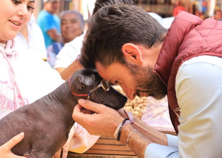 La protección a la vida animal empieza por la educación: Abdala