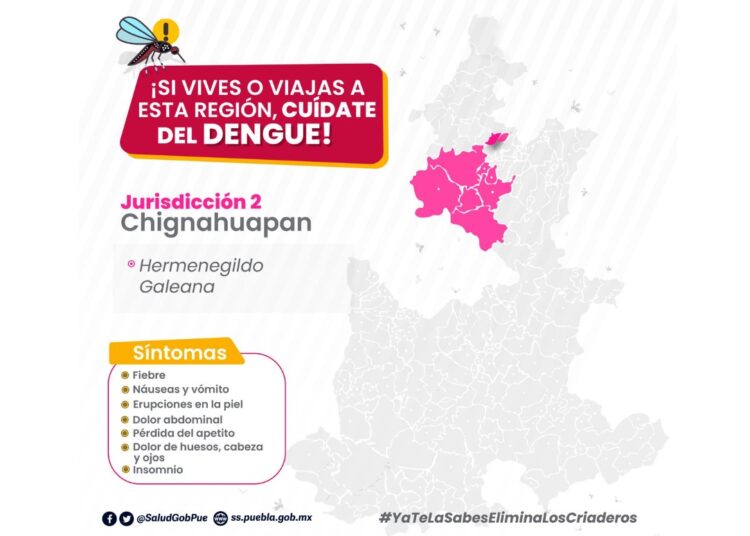 Reportan 9 casos de dengue en últimas 24 horas